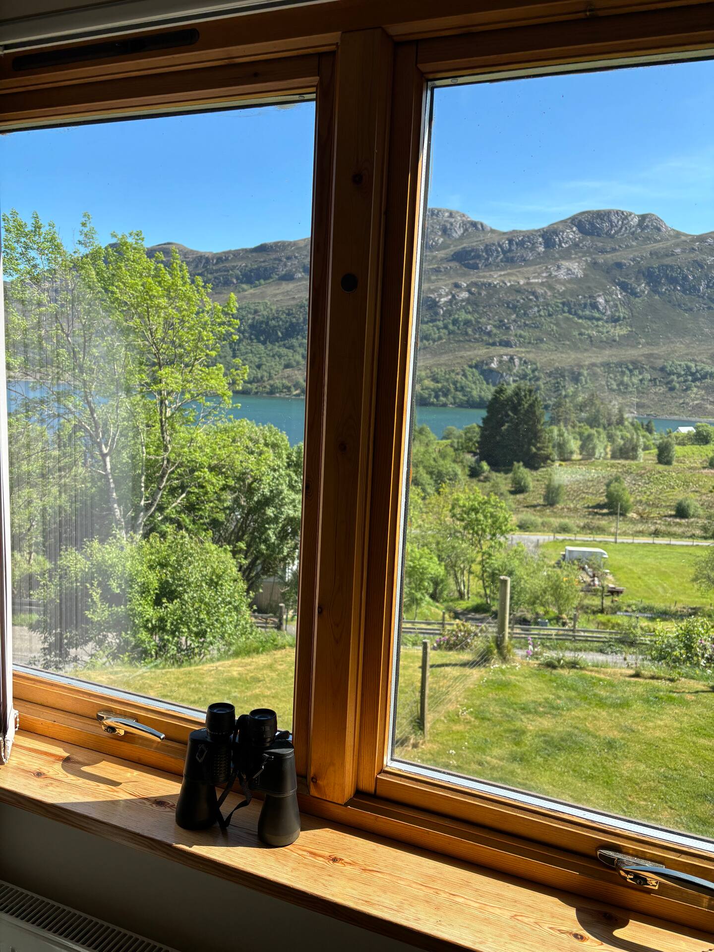 ideal spot for bird watching